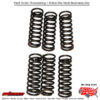 Clutch Springs Csk43 Honda Cb1100 2013-2014 Suzuki Dl1000 V-Strom Adventure