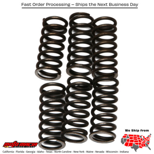 Clutch Springs Csk46 Honda Cb1000c Custom 1983-1983 Suzuki Dr-Z250 Non Ca M