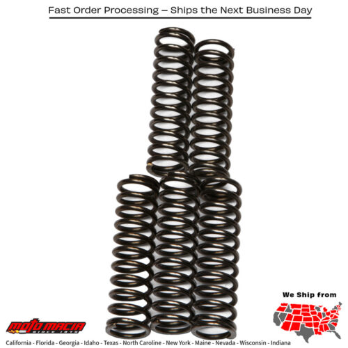Clutch Springs Csk67 Kawasaki Z1000 2006-2006 Ninja Zx-12r