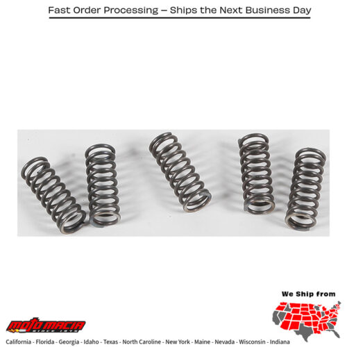 Clutch Springs Csk70 Honda Cbr1100xx Super Blackbird 1997-1998