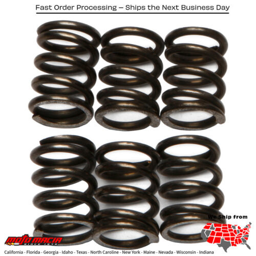 Clutch Springs Csk72 Suzuki Gsx-R1300 Hayabusa 1999-2007