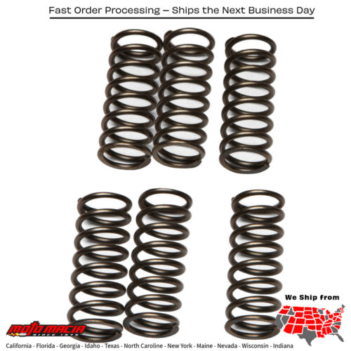 Clutch Springs Csk79 Arctic Cat 400 Dvx 2004-2008 Ts 200