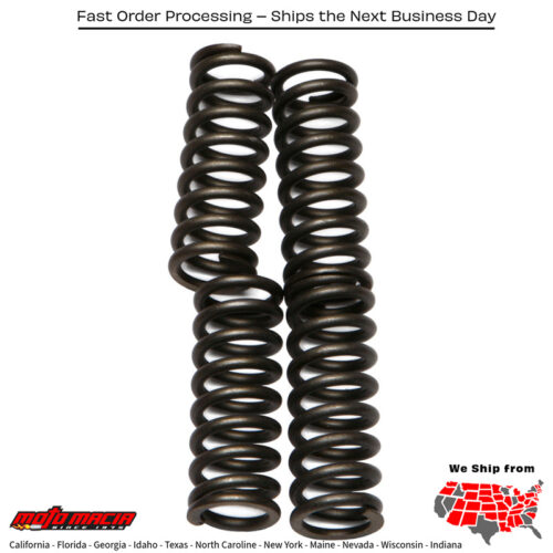 Clutch Springs Csk83 Triumph Speed Four 600 I.e. 2002-2005 Daytona