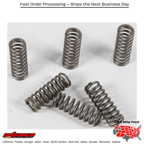 Clutch Springs Csk90 Honda Vt1300cta Interstate Abs 2010-2015 Cb1000r