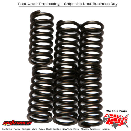 Clutch Springs Csk99 Kawasaki Zx600 Ninja Zx-6rr 2003-2004