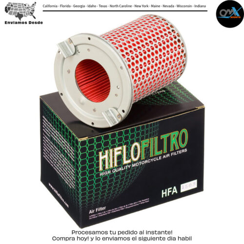 Air Filter Honda FT500 Ascot 1982-1983