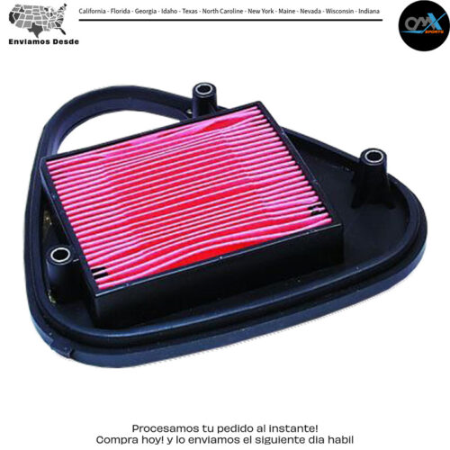 Air Filter Honda Vt600c Shadow Vlx 1988-1998 Vt600cd Delux