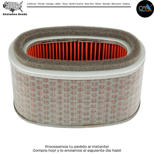 Air Filter Honda Vt750cs Shadow Aero Abs 2013-2015 Vt750c2s Sp
