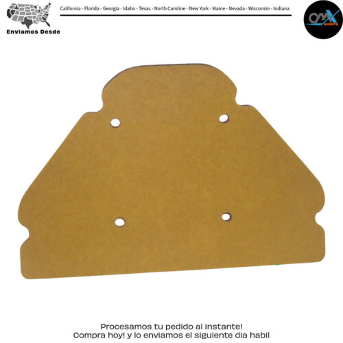 Air Filter Kawasaki Zx900 Ninja Zx-9r 1998-2003