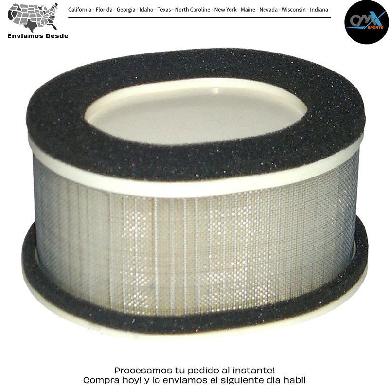Air Filter Yamaha Fzs1000 Fz1 2001-2005