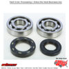 Crankshaft Bearing & Seal Kit