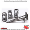 Intake Valve Conversion Set Ti-Steel Gas/Yamaha Yz450f 2003-2009 Yamaha