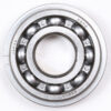 Crankshaft Bearing