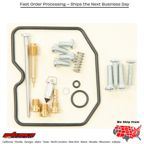 Carburetor Repair Kit Arctic Cat 300 Dvx 2009-2015 2x4 2010- more