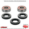 Wheel Bearing Kit Premium Yamaha Apex Gt 2007-2007 Rtx 2007
