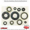 OIL SEAL SET Kawasaki KX250 1993-2003