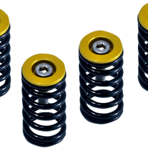 BARNETT Clutch Sprg W/Gold 1000 Ds/1000s Ds 2004-2006 748/748s...