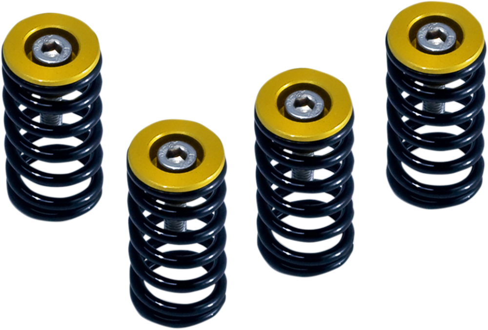 BARNETT CLUTCH SPRG W/GOLD DUCATI Ducati 1000 DS/1000S DS 2004-2006 Ducati 748/748S 1995-2003 Ducati 749/749S 2004-2006 Ducati 888 1993-1994 Ducati 900 I.E. 2000-2002 Ducati 900SS/Sport 1994-2002 Ducati 916 1995-1998 Ducati 996/996S 1999-2001 Ducati 998/998S 2002-2004 Ducati 999/999S/999R 2003-2006 Ducati M1000 I.E. 2004-2005 Ducati M1000S 2003-2003 Ducati M900 1995-2002 Ducati MH900E 2002-2002 Ducati S2R 1000 2006-2008 Ducati S4 2001-2003 Ducati S4R 2004-2007 Ducati S4RS 2006-2008 Ducati SS1000 2004-2006 Ducati ST2 1997-2003 Ducati ST3 2004-2004 Ducati ST4/ST4S 1999-2004 Ducati Smart 1000/Sport 1000 2006-2006. MPN: 5192506090. SKU: 1131-1833.