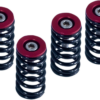 BARNETT CLUTCH SPRG W/RED DUCATI Ducati 1000 DS/1000S DS 2004-2006 Ducati 748/748S 1995-2003 Ducati 749/749S 2004-2006 Ducati 888 1993-1994 Ducati 900 I.E. 2000-2002 Ducati 900SS/Sport 1994-2002 Ducati 916 1995-1998 Ducati 996/996S 1999-2001 Ducati 998/998S 2002-2004 Ducati 999/999S/999R 2003-2006 Ducati M1000 I.E. 2004-2005 Ducati M1000S 2003-2003 Ducati M900 1995-2002 Ducati MH900E 2002-2002 Ducati S2R 1000 2006-2008 Ducati S4 2001-2003 Ducati S4R 2004-2007 Ducati S4RS 2006-2008 Ducati SS1000 2004-2006 Ducati ST2 1997-2003 Ducati ST3 2004-2004 Ducati ST4/ST4S 1999-2004 Ducati Smart 1000/Sport 1000 2006-2006. MPN: 5192506098. SKU: 1131-1834.