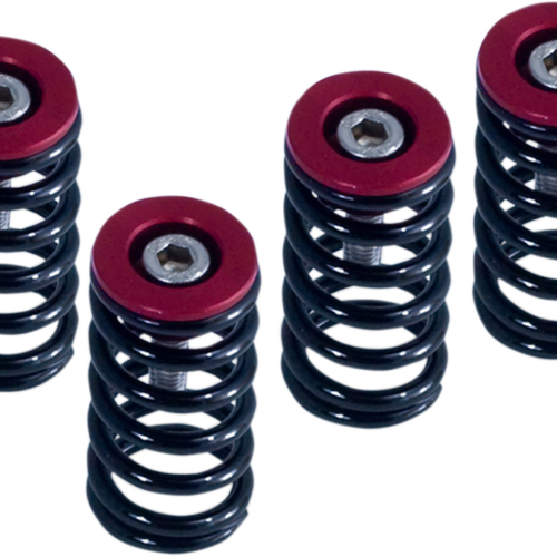 BARNETT Clutch Sprg W/Red Ducati 1000 Ds/1000s Ds 2004-2006 748/748s...