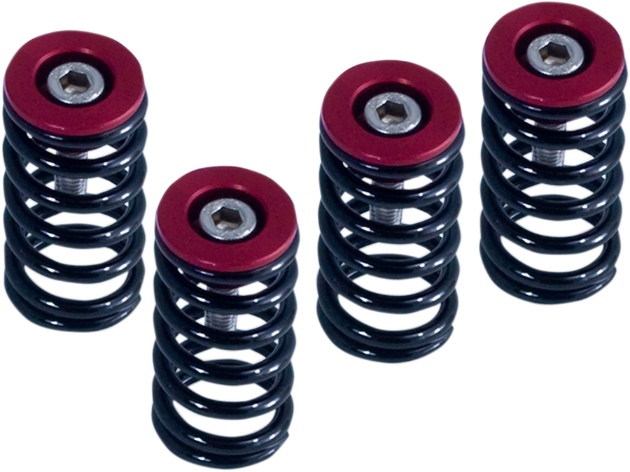 BARNETT CLUTCH SPRG W/RED DUCATI Ducati 1000 DS/1000S DS 2004-2006 Ducati 748/748S 1995-2003 Ducati 749/749S 2004-2006 Ducati 888 1993-1994 Ducati 900 I.E. 2000-2002 Ducati 900SS/Sport 1994-2002 Ducati 916 1995-1998 Ducati 996/996S 1999-2001 Ducati 998/998S 2002-2004 Ducati 999/999S/999R 2003-2006 Ducati M1000 I.E. 2004-2005 Ducati M1000S 2003-2003 Ducati M900 1995-2002 Ducati MH900E 2002-2002 Ducati S2R 1000 2006-2008 Ducati S4 2001-2003 Ducati S4R 2004-2007 Ducati S4RS 2006-2008 Ducati SS1000 2004-2006 Ducati ST2 1997-2003 Ducati ST3 2004-2004 Ducati ST4/ST4S 1999-2004 Ducati Smart 1000/Sport 1000 2006-2006. MPN: 5192506098. SKU: 1131-1834.