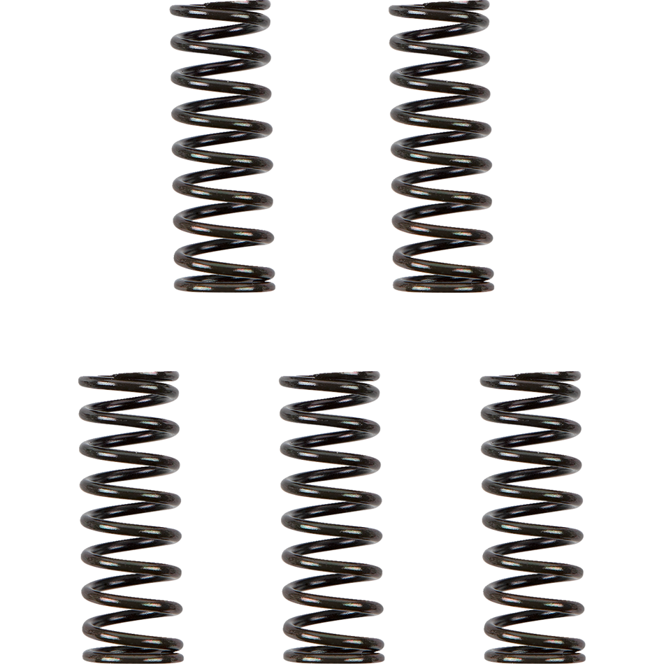 BARNETT CLUTCH SPRING KIT DUCATI Ducati 848 2008-2015 Ducati 899 Panigale 2014-2015. MPN: 5014805125. SKU: 1131-2299.
