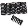 BARNETT BARNETT CLUTCH SPRINGS Kawasaki GPz1100 1995-1996. MPN: 5015806076. SKU: 2012-335.