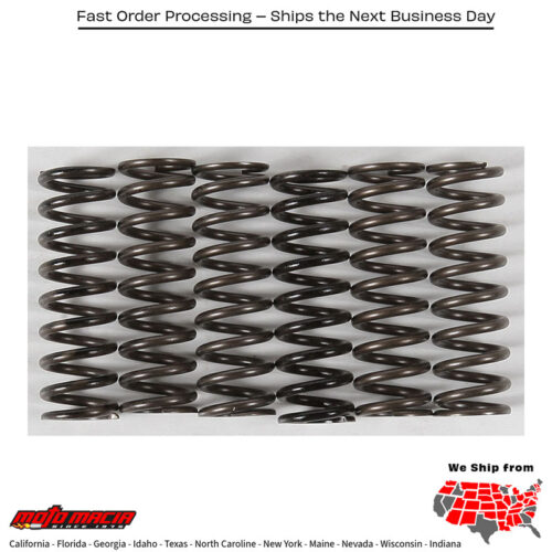 HINSON "HIGH TEMP SPRINGS 6 SPRINGS" Yamaha YZ250X YZ450FX YFZ450X SE WR426F YZ426F YFZ450R YFZ450R SE YFZ450X YFZ450X Bill Ballance YFZ450 YFZ450 SE YFZ450 Bill Balance Edition YZ250 YZ450F WR450F 1993-2022 Yamaha YZ250X YZ450FX YFZ450X SE WR426F YZ426F YFZ450R YFZ450R SE YFZ450X YFZ450X Bill Ballance YFZ450 YFZ450 SE YFZ450 Bill Balance Edition YZ250 YZ450F WR450F 1993-2022. MPN: CS216-6-0315. SKU: 151-6304.