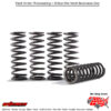 HINSON "HIGH TEMP SPRING 4 SPRINGS CRF150R" Honda CRF150R 2007-2022 Honda CRF150R 2007-2022. MPN: CS290-4-0710. SKU: 151-6305.
