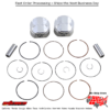 PSTN KT NINJA 300 13-17