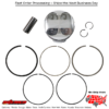 PSTN KT TRX450R 04-05 STD