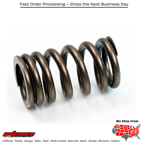 PSYCHIC EXHAUST VALVE SPRING Honda CRF450L 2019-2020 CRF450R more