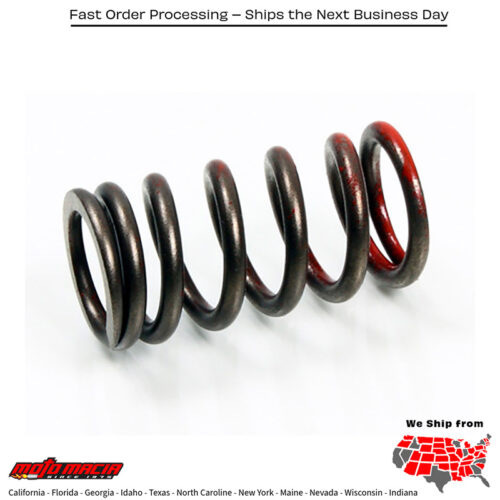 PSYCHIC EXHAUST VALVE SPRING Gas Gas EC250-F 2010-2015 EC30 more