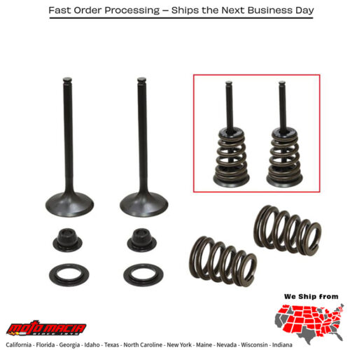 PSYCHIC INTAKE VALVE KIT Beta RR 400 Enduro 2005-2009 Beta RR 450 E more