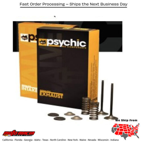 PSYCHIC EXHAUST VALVE Yamaha TT-R225 1999-2004 TT-R230 2005- more