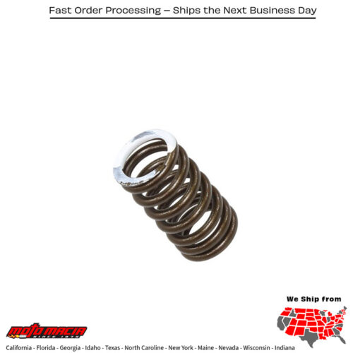 PSYCHIC EXHAUST VALVE SPRING Kawasaki KX250F 2011-2016