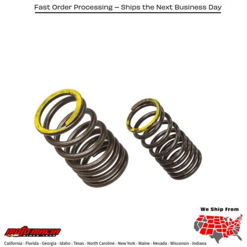 PSYCHIC EXHAUST VALVE SPRING Kawasaki KX450F 2019-2023